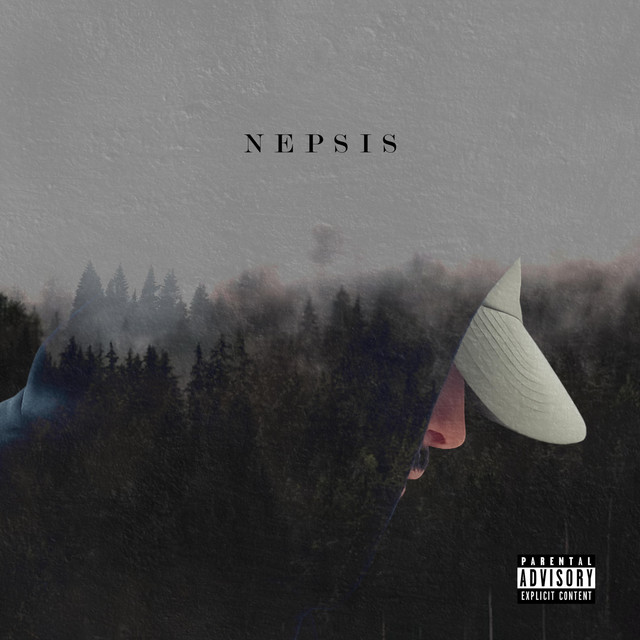 Nepsis cover art