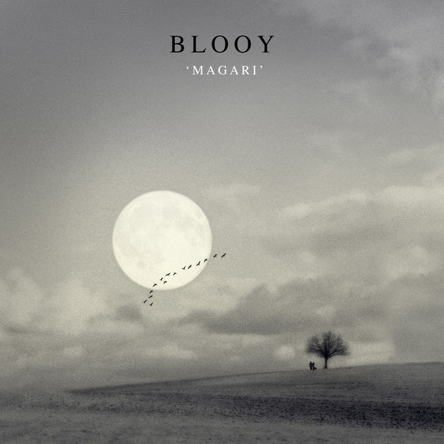 Magari cover