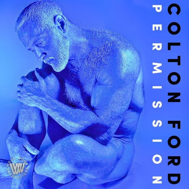Permission cover art