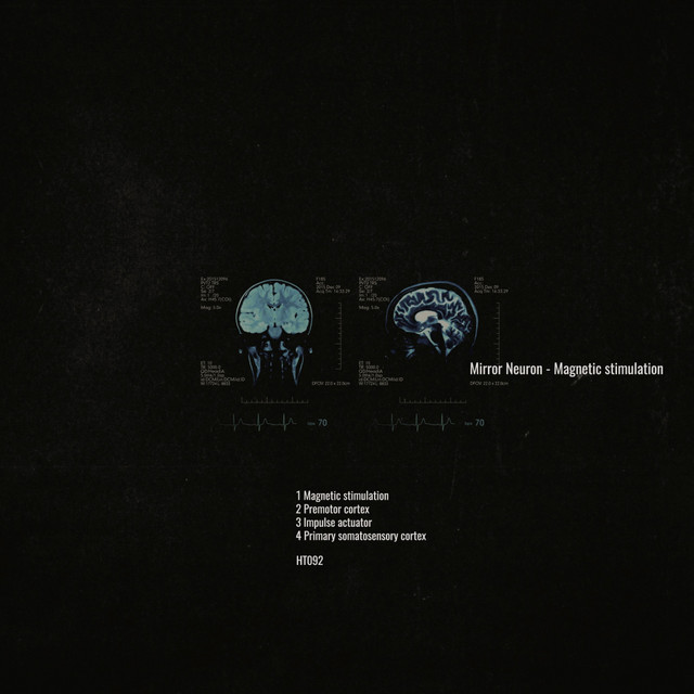 Mirror Neuron