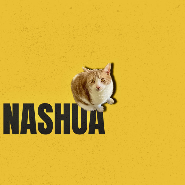 NASHUA cover art