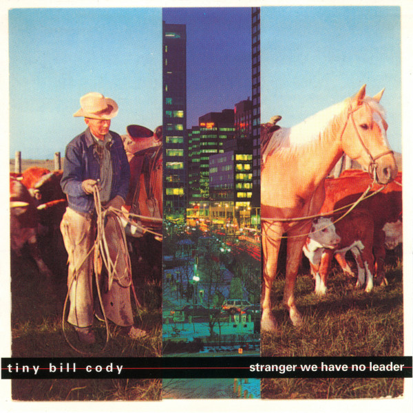 stranger we have no leader cover art