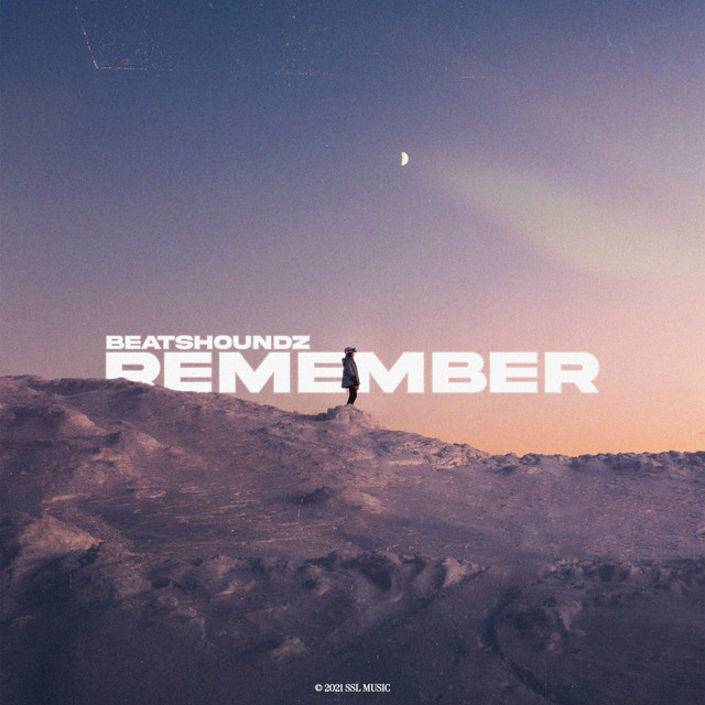 Remember cover art