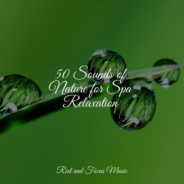 50 Sounds of Nature for Spa Relaxation - Album by Ambiente | Spotify