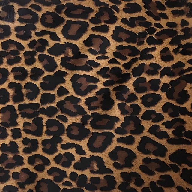 Leopard cover art