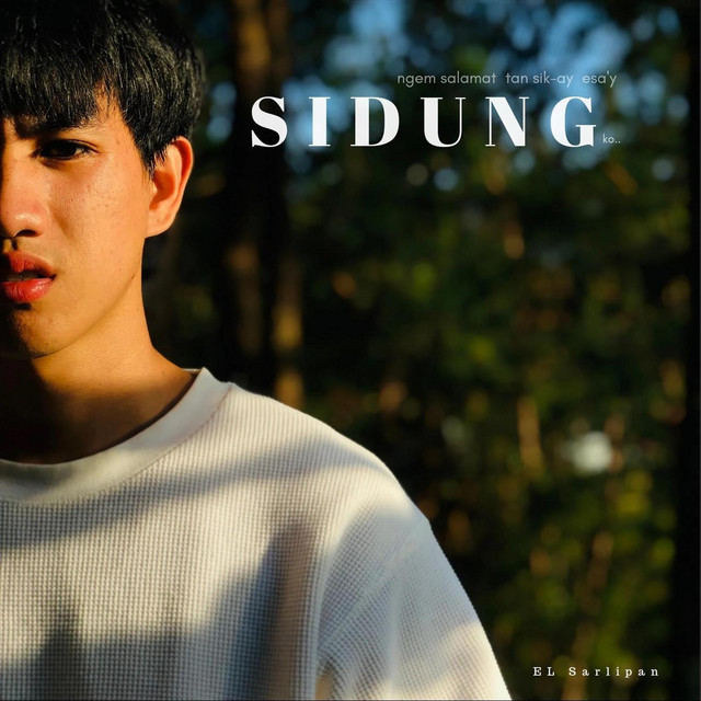 Sidung cover art