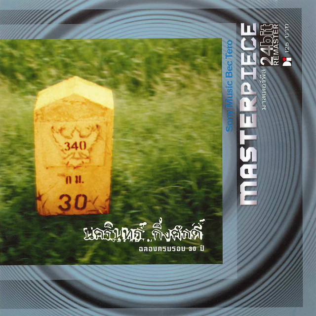 ฉลองครบรอบ 30 ปี cover art