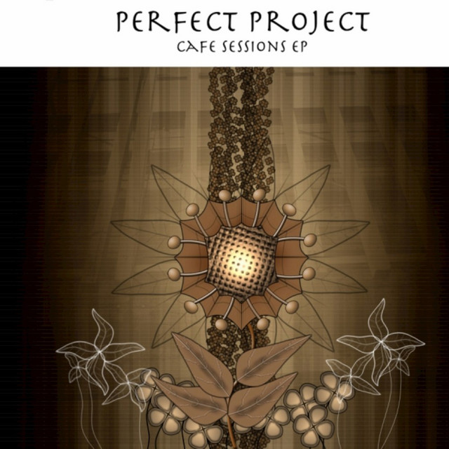 Perfect Project