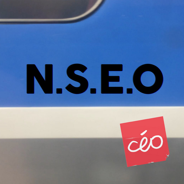 N.S.E.O cover art