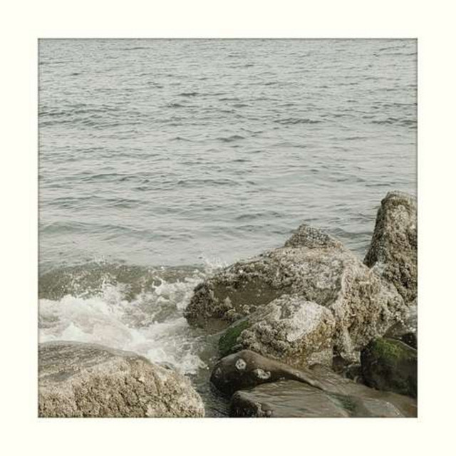 You Are Special &amp; That Is Exactly Why I Love You so Much. cover art
