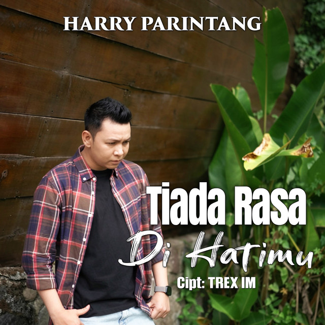 Harry Parintang - Tiada Rasa Di Hatimu album image