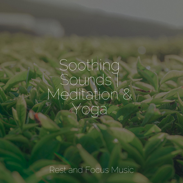 Soothing Sounds | Meditation & Yoga - Album by Baby Sleep | Spotify