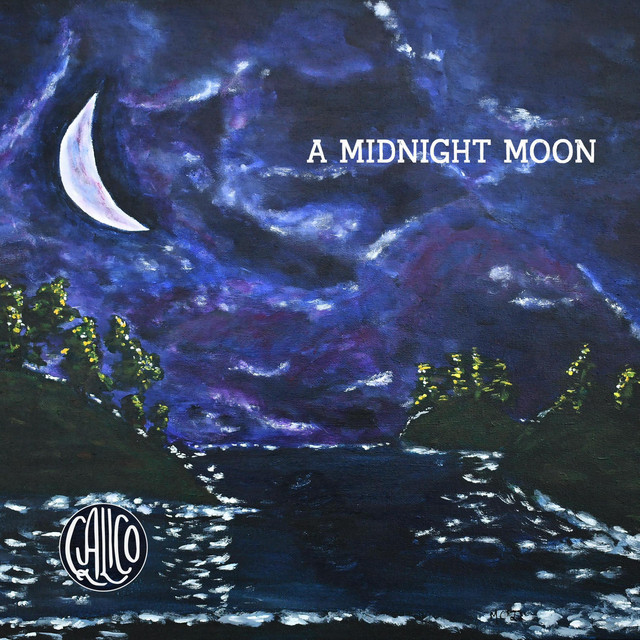 A MIDNIGHT MOON cover art