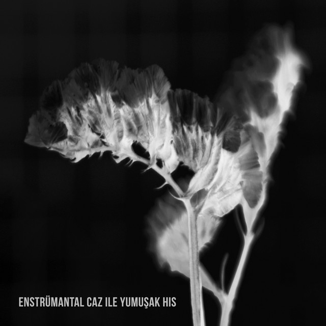 Enstrümantal Caz ile Yumuşak His cover art