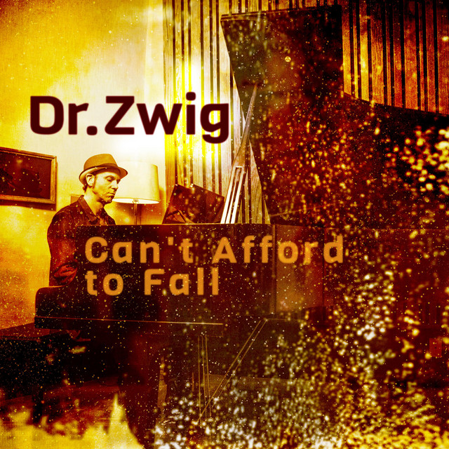 Can't Afford to Fall album image
