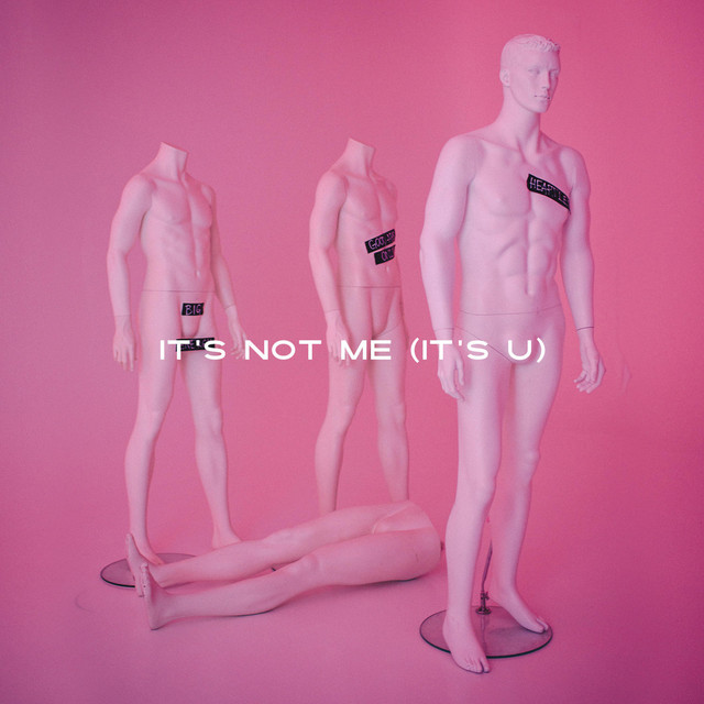 It's Not Me (It's U)