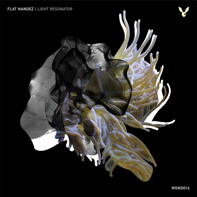Light Resonator cover art