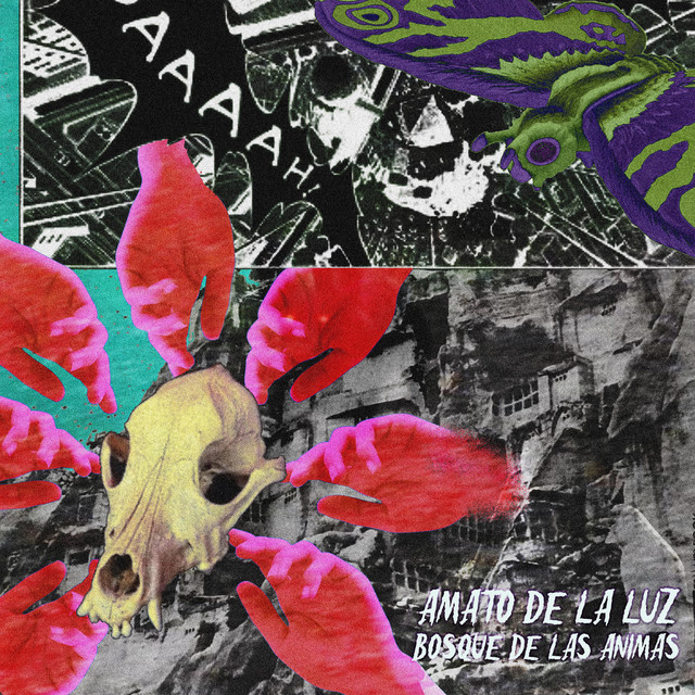 Bosque De Las Ánimas cover art