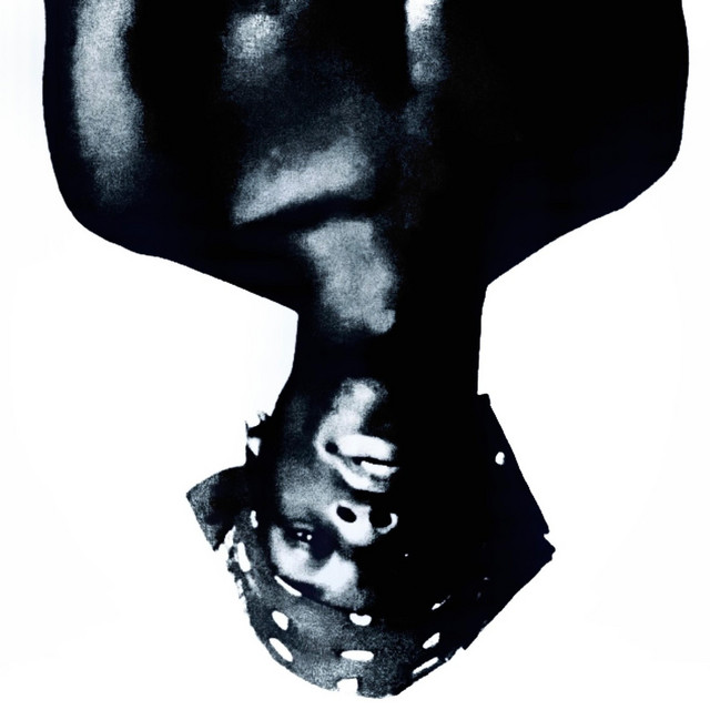 Fly cover art
