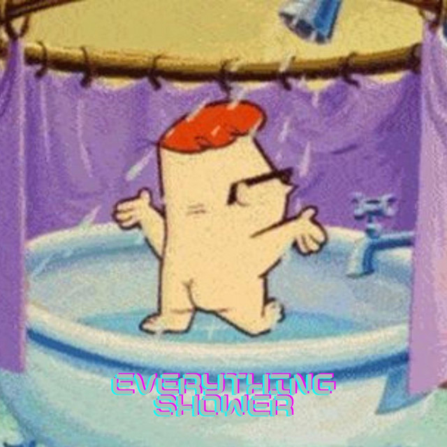 everything shower cover art