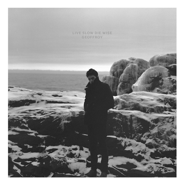 Live Slow Die Wise cover art