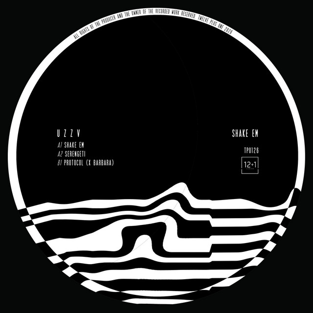 Shake Em cover art