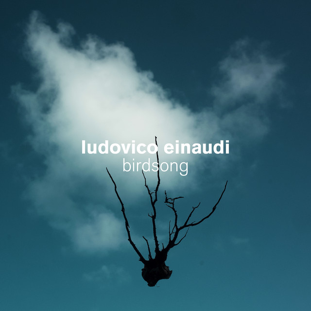 Birdsong by Ludovico Einaudi