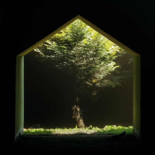 Talvez haja um Legado Além de Nós cover art