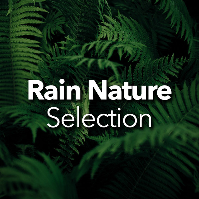 Rain Nature Selection cover art