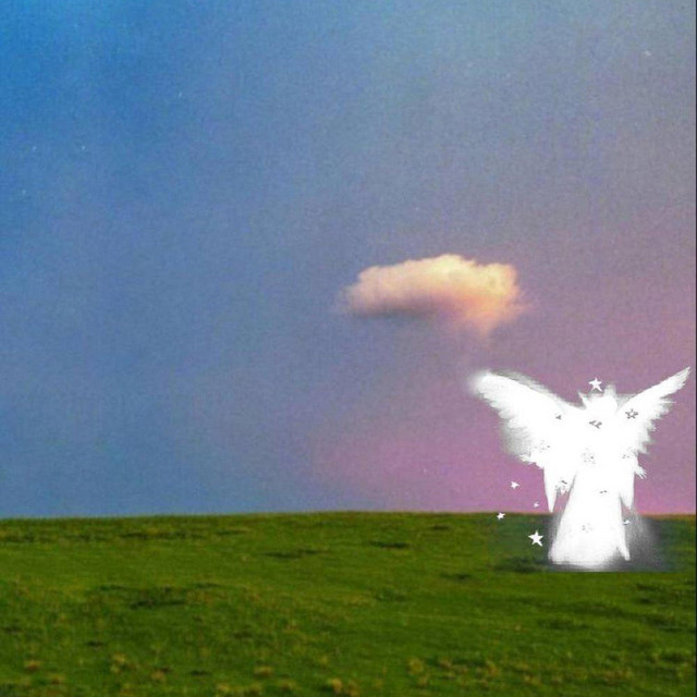 trace cover art