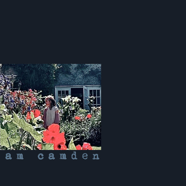 Rose cover art