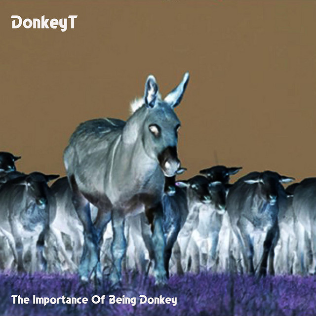 The Importance Of Being Donkey cover art