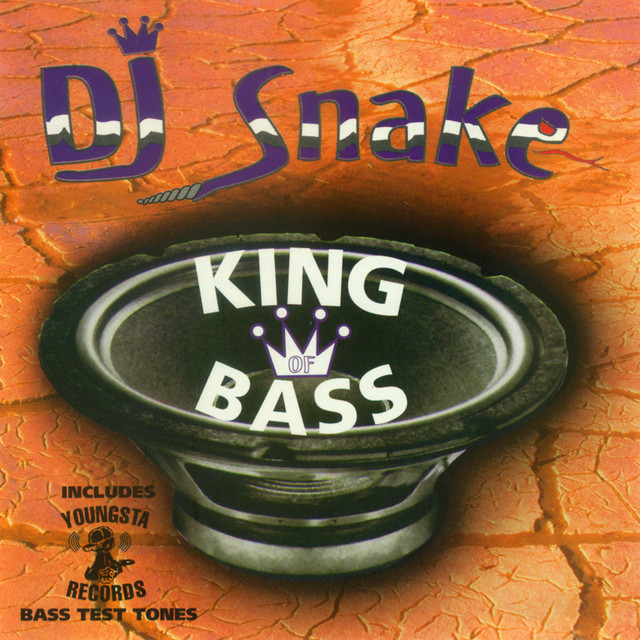 Up Tempo Bass Song By Dj Snake Spotify