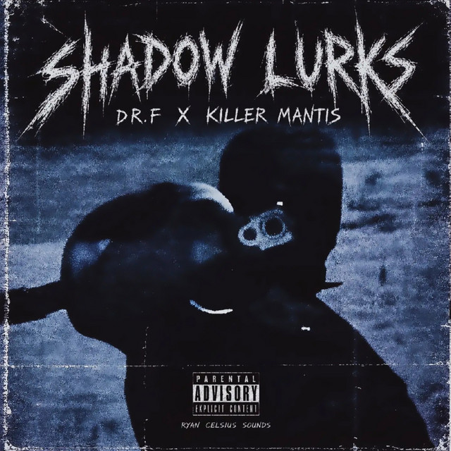 Обкладинка треку SHADOW LURKS