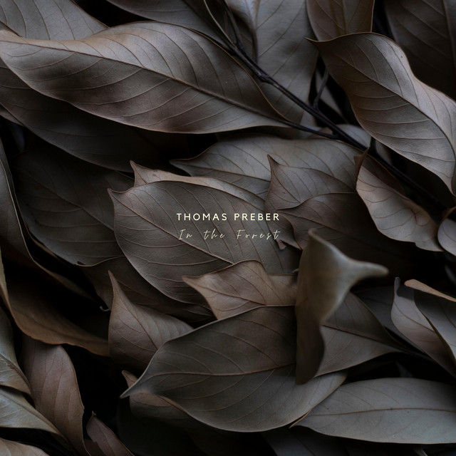In the Forest by Thomas Preber
