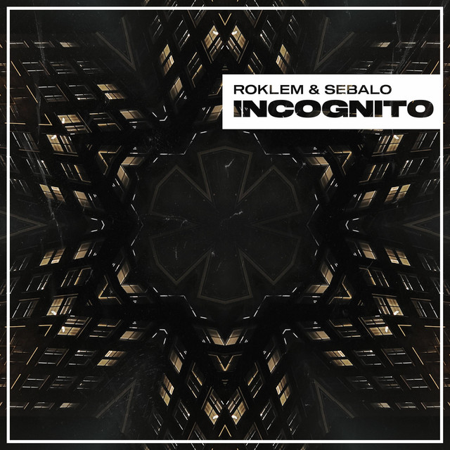 Incognito cover