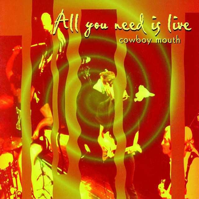 All You Need Is Live cover