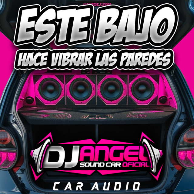 Este Bajo Hace Vibrar Las Paredes