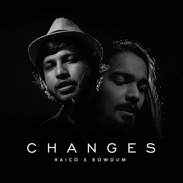 Changes cover art
