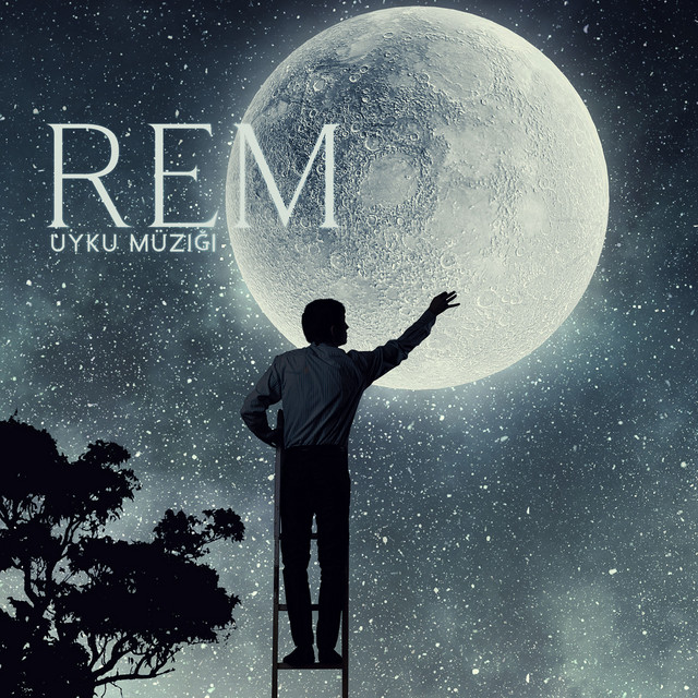 REM Uyku Müziği: Hipnotik Delta Dalgaları, Uykusuzluk Tedavisi İçin Yatıştırıcı Düşük Frekans & Şifa Meditasyon Müziği cover art