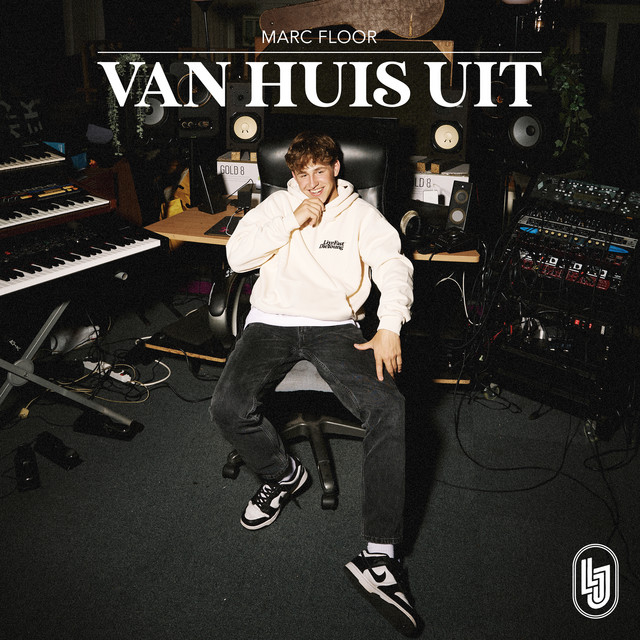 Vlekkeloos cover art