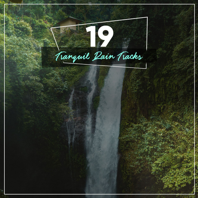 12 Ambient Rain Album for Practicing Yoga cover