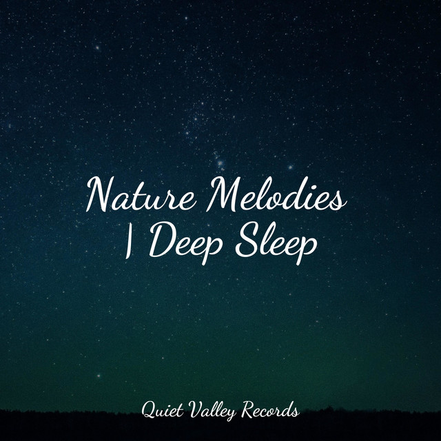 Nature Melodies | Deep Sleep - Album by Avslappning Sound | Spotify