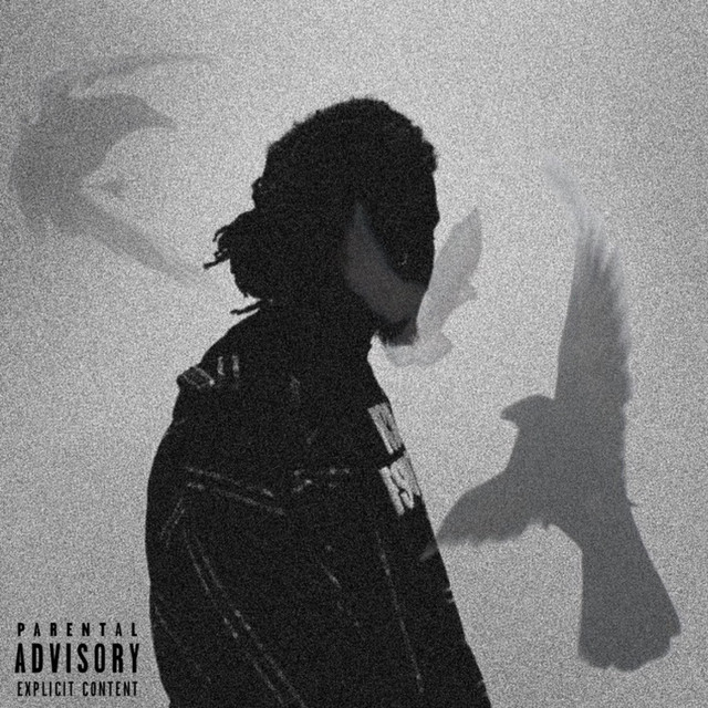 LoneFly 3: The Finale cover art