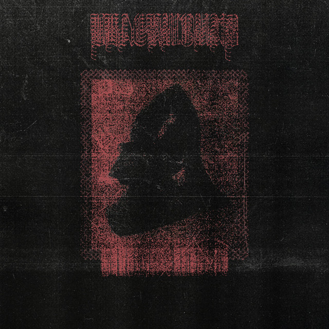 Warping Structure cover art