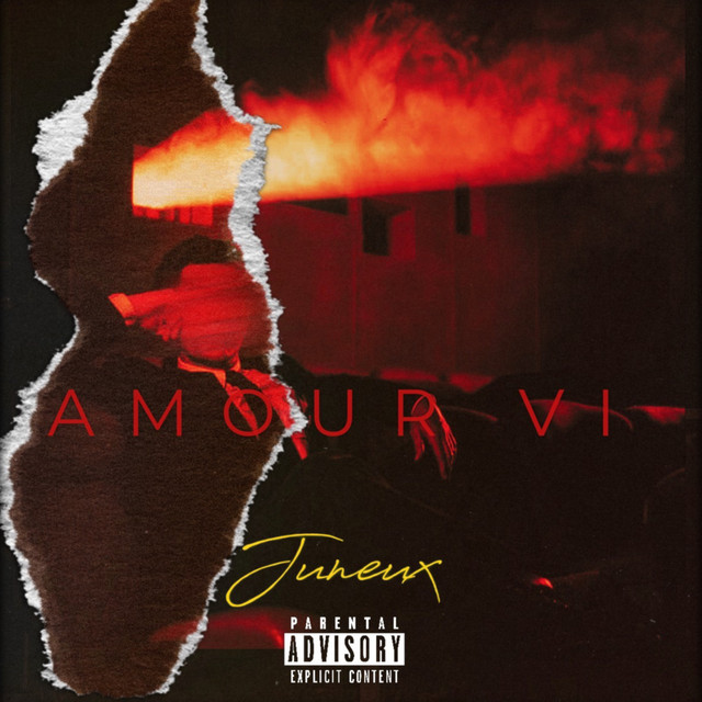 Amour VI cover art