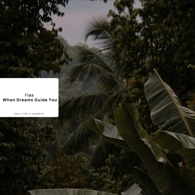 When Dreams Guide You