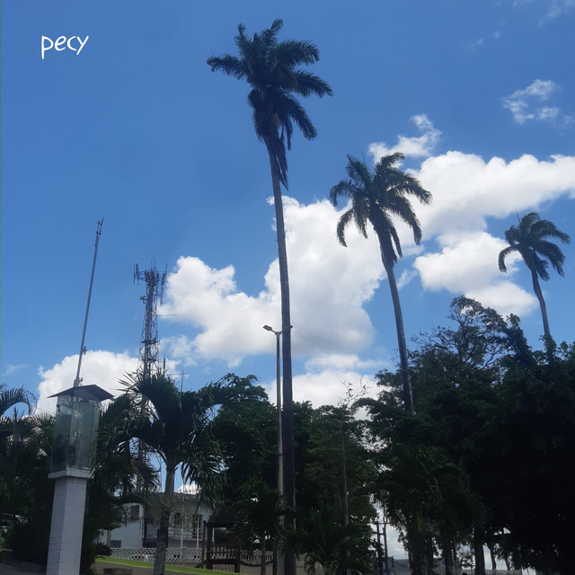 Celestial cover art