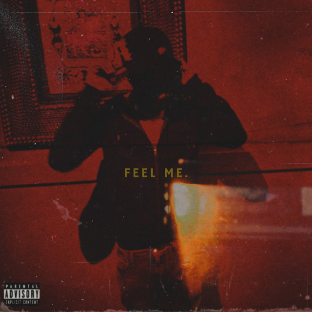 Feel Me cover