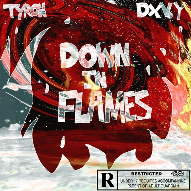 Down in Flames cover art
